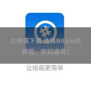 比特派下载 选择Bitpie的原因，你知道吗？