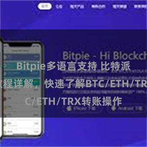 Bitpie多语言支持 比特派钱包转账教程详解，快速了解BTC/ETH/TRX转账操作