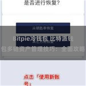 Bitpie冷钱包 比特派钱包多链资产管理技巧：全面攻略