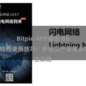 Bitpie APP备份 Bitpie钱包使用技巧：多链资产管理全攻略