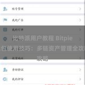 比特派用户教程 Bitpie钱包使用技巧：多链资产管理全攻略