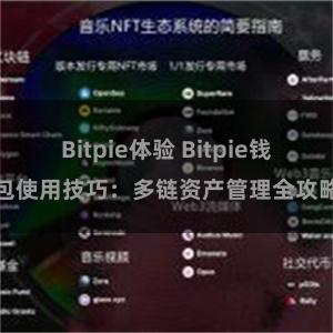 Bitpie体验 Bitpie钱包使用技巧：多链资产管理全攻略