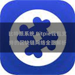 比特派系统 Bitpie钱包支持的区块链网络全面解析