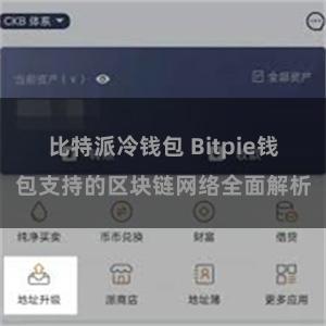 比特派冷钱包 Bitpie钱包支持的区块链网络全面解析