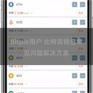 Bitpie用户 比特派钱包常见问题解决方案