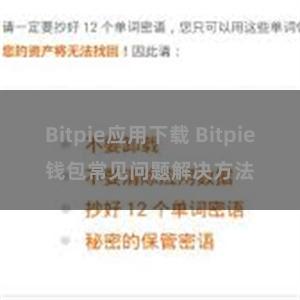 Bitpie应用下载 Bitpie钱包常见问题解决方法