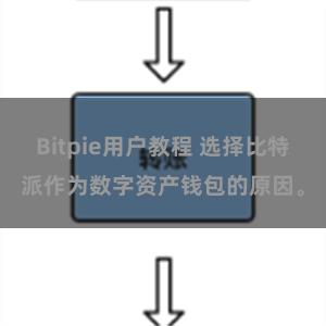 Bitpie用户教程 选择比特派作为数字资产钱包的原因。