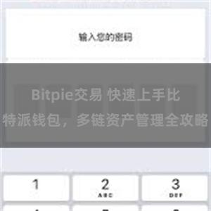 Bitpie交易 快速上手比特派钱包，多链资产管理全攻略