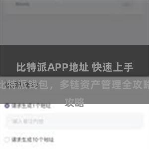 比特派APP地址 快速上手比特派钱包，多链资产管理全攻略