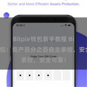 Bitpie钱包新手教程 Bitpie钱包：资产百分之百自主掌控，安全可靠！