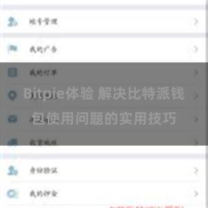 Bitpie体验 解决比特派钱包使用问题的实用技巧