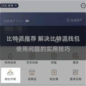 比特派推荐 解决比特派钱包使用问题的实用技巧