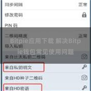 Bitpie应用下载 解决Bitpie钱包常见使用问题