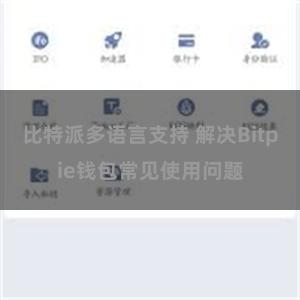 比特派多语言支持 解决Bitpie钱包常见使用问题