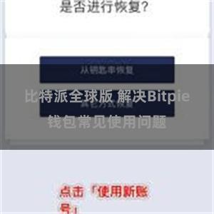 比特派全球版 解决Bitpie钱包常见使用问题