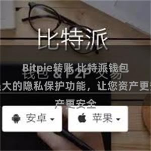 Bitpie转账 比特派钱包：强大的隐私保护功能，让您资产更安全