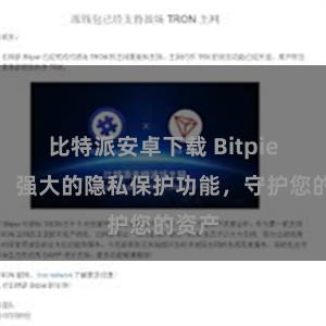 比特派安卓下载 Bitpie钱包：强大的隐私保护功能，守护您的资产