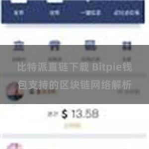 比特派直链下载 Bitpie钱包支持的区块链网络解析