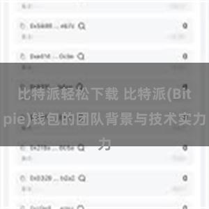 比特派轻松下载 比特派(Bitpie)钱包的团队背景与技术实力