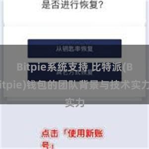 Bitpie系统支持 比特派(Bitpie)钱包的团队背景与技术实力