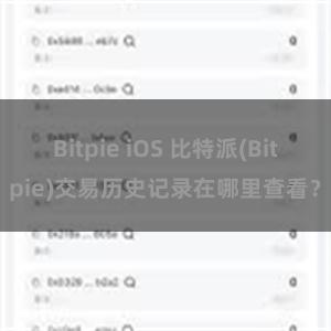 Bitpie iOS 比特派(Bitpie)交易历史记录在哪里查看？