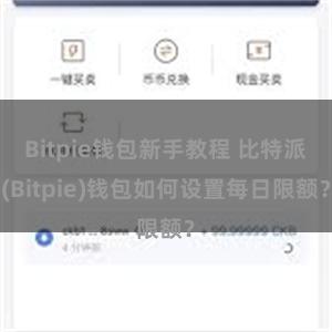 Bitpie钱包新手教程 比特派(Bitpie)钱包如何设置每日限额？