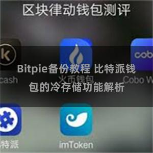 Bitpie备份教程 比特派钱包的冷存储功能解析