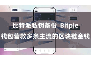 比特派私钥备份  Bitpie钱包营救多条主流的区块链金钱