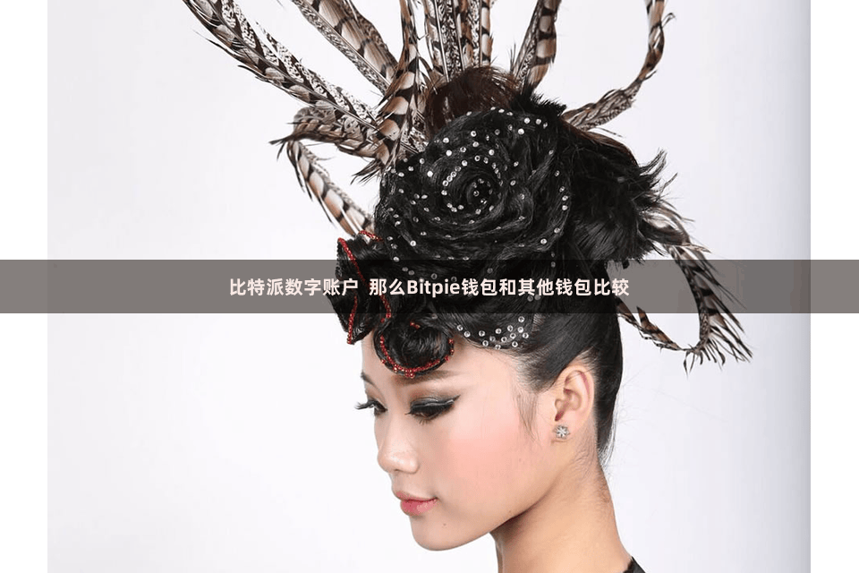 比特派数字账户  那么Bitpie钱包和其他钱包比较