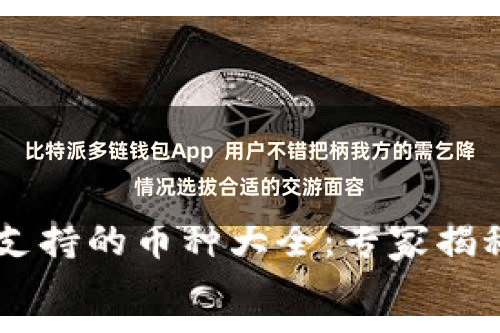 比特派多链钱包App  用户不错把柄我方的需乞降情况选拔合适的交游面容