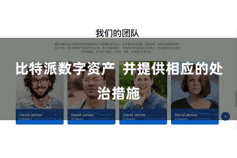比特派数字资产  并提供相应的处治措施